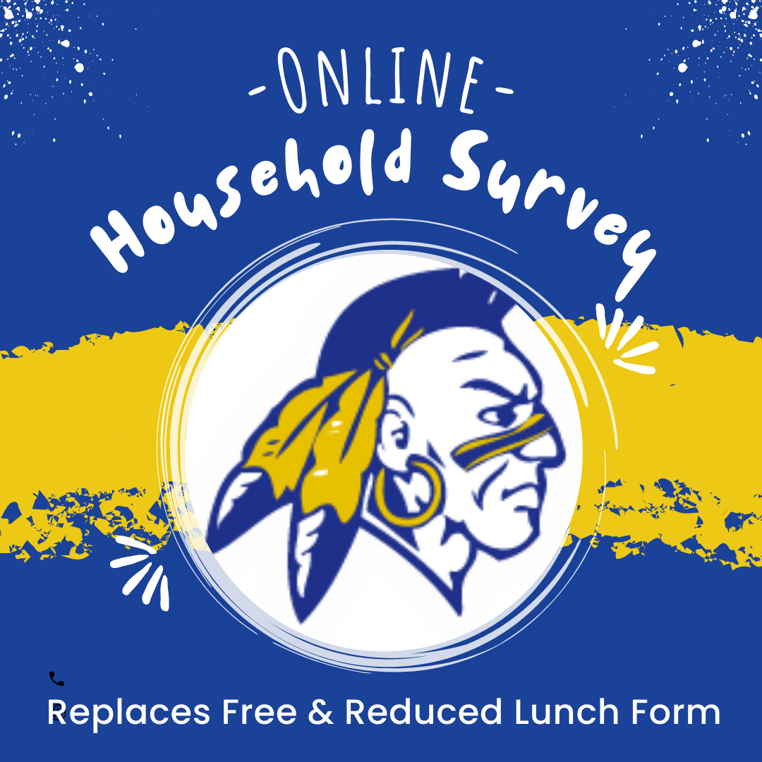 Online Household Survey